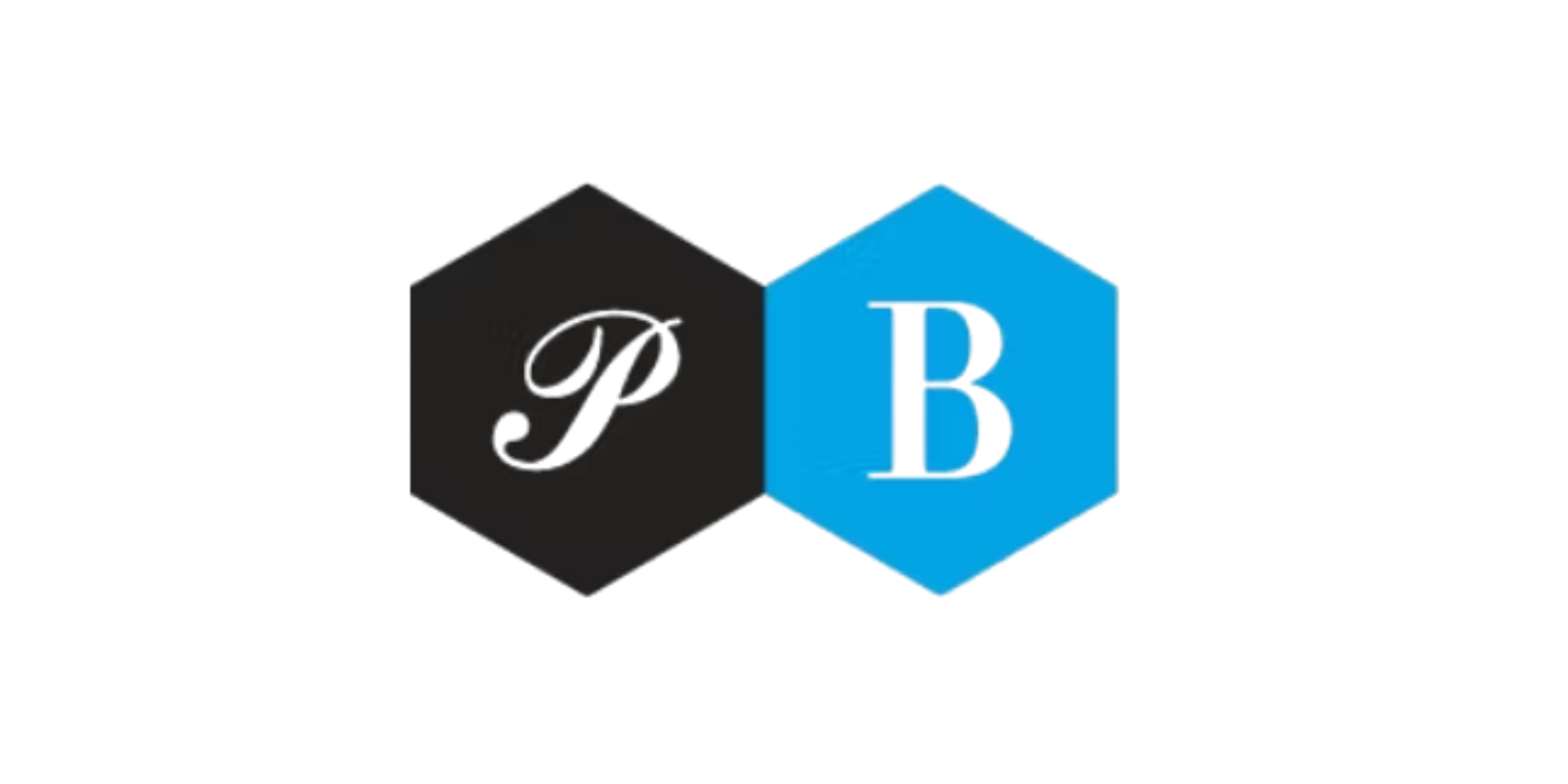 Das Logo der Firma Pitti Bimbo, einem Partner von StudioX im Bereich Influencer-Marketing.